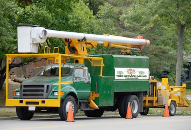 Storm Damage Cleanup in University Park