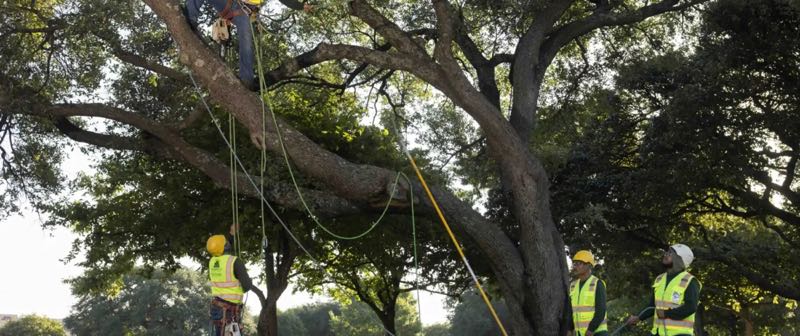 {SERVICE_NAME} project in University Park