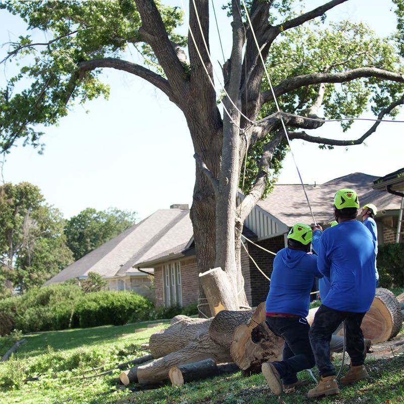 {SERVICE_NAME} project in University Park