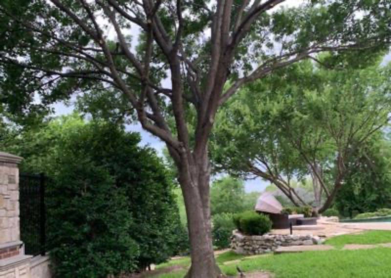 {SERVICE_NAME} project in University Park